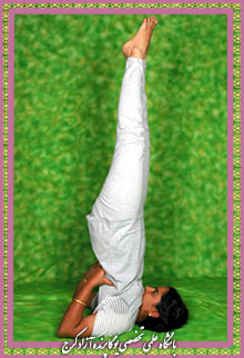 ,Yoga,یوگا,یوگاکرج,کلاس یوگا,آموزش یوگا,ساروانگاسانا,ایستادن روی شانه, نیرالامبا ساروانگاسانا,یوگا کرج,آرامش مغز,کاهش استرس,کاهش افسردگی,درمان یبوست,زیبایی,شادابی,سلامتی,باشگاه یوگا پرنده آزاد,وضعیتهای معکوس یوگا,